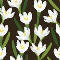 seamless plants pattern background with white blooms Royalty Free Stock Photo