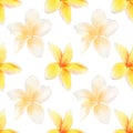 Seamless plumeria flowers pattern. Watercolor floral pattern with delicate white, yellow and orange tropical flowers