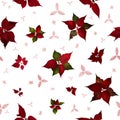 Seamless Poinsettia Christmas Flowers Royalty Free Stock Photo