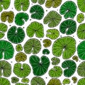 Seamless pond texture with lily pads leaf, top view for your design Royalty Free Stock Photo