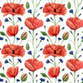Seamless poppies and cornflowers pattern. Watercolor floral background with blue knapweed, bluett and poppy wildflowers for Royalty Free Stock Photo