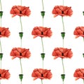 Seamless poppy flowers pattern. Watercolor floral background with poppies wildflower and bud for textile, wallpapers, summer decor