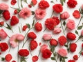 Seamless poppy and rose pattern, white surface, red and white tones