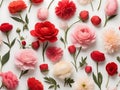 Seamless poppy and rose pattern, white surface