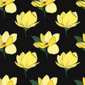 Seamless print of Magnolia