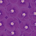 Seamless purple background with violets.seamless pattern.