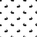 Seamless rabbit pattern on a white background Royalty Free Stock Photo