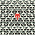 Seamless raccoon pattern