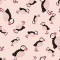 Seamless random pattern with doodle puffin bird hand drawn print. Pastel pink background. Doodle artwork Royalty Free Stock Photo