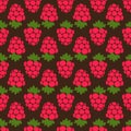 Seamless raspberry background brown pattern