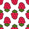 Seamless raspberry background white pink pattern