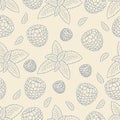 Seamless raspberry and mint pattern hand drawn berries and herbal leaves repeating background botanical fruit texture vintage Royalty Free Stock Photo