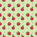 Seamless raspberry pattern with green background and bright summer fruit style Royalty Free Stock Photo