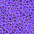 Seamless realistic blue osteospermum flower pattern. Pattern for printing on fabric and wallpaper. Illustration for
