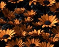 Seamless realistic 3d flowers pattern design created with Generative AI technology