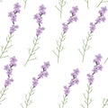Seamless realistic lavender flower vector illustration pattern Royalty Free Stock Photo