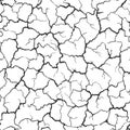 Seamless realistic pattern. Imitation print of dry soil of desert. Black crack on white background. Royalty Free Stock Photo