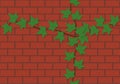 Seamless red brick wall with ivy vine background vector illustration Royalty Free Stock Photo