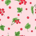 Seamless red currant pattern. Vector background with watercolor red ripe berries Royalty Free Stock Photo