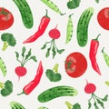 Seamless red and green vegetables pattern. Vector watercolor tomato, cucumber and radish Royalty Free Stock Photo