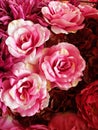 Seamless Red and Pink Fabric Roses Royalty Free Stock Photo