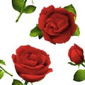 Seamless red rose flower, bud and leaves Royalty Free Stock Photo