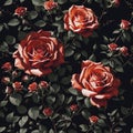 Seamless red roses illustration pattern. Vintage wallpaper design Royalty Free Stock Photo