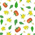 Seamless red tomato pattern with yellow flowers, leaves and seeds on white. ripe tomato fruit endless vector background Royalty Free Stock Photo