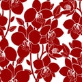 seamless red and white floral pattern, monochrome ornament, design Royalty Free Stock Photo