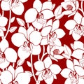 seamless red and white floral pattern, monochrome ornament, design Royalty Free Stock Photo