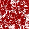seamless red and white floral pattern, monochrome ornament, design Royalty Free Stock Photo