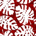 seamless red and white pattern of tropical leaves contours, texture