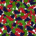 Seamless Redcurrant and Blackcurrant Pattern