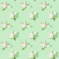 Seamless regular creative pattern with bud of dry white flower alstroemeria on green. Pastel colors