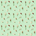 Seamless regular creative pattern from natural dry flowers Eustoma on soft green. Floral design
