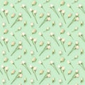 Seamless regular creative pattern from natural dry flowers Eustoma on soft green. Floral design