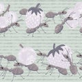 Seamless repeat pattern ants trail Royalty Free Stock Photo