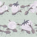 Seamless repeat pattern ants trail