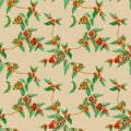 Seamless repeat pattern of red ripe coffee fruits branches and green leaf illustration, watercolor hand drawing on beige Royalty Free Stock Photo