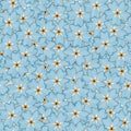 Seamless repeat vector pattern of Blue forget-me-not plants are on pastel blue background. Flowers are formed into seamless Royalty Free Stock Photo