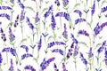 Seamless repeat watercolour pattern Floral painted lavender illustration on background. Ink and watercolor painting.