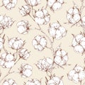 Seamless repeatable botanical pattern with soft fluffy cotton flower branches. Vintage design of endless floral