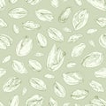 Seamless repeatable pistachio pattern with open nuts and whole pistaches with shells. Monochrome design of endless