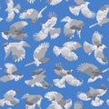 Seamless repeating pattern of birds Royalty Free Stock Photo
