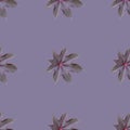 Seamless pattern from castor oil plant Royalty Free Stock Photo