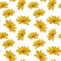 Seamless repeating pattern with gerberas. Large yellow-orange flowers. Background for packaging and design.Vector. Royalty Free Stock Photo