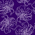 seamless repeating pattern of white contour flowers of lilies on a purple background Royalty Free Stock Photo