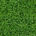 Seamless repeating texture consisting of leaf mustard