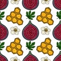 Seamless repeating vector pattern featuring halved figs, honeycomb sections, white blossoms, and green fig leaves on a white Royalty Free Stock Photo
