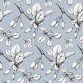 Seamless retro pattern branches of barberry with leaves and berries on a blue background Royalty Free Stock Photo